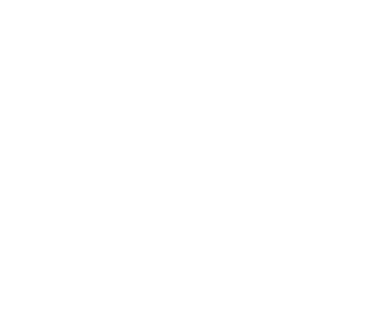 logo atlanticexperts white