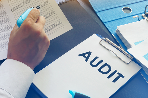 auditcommerciaux